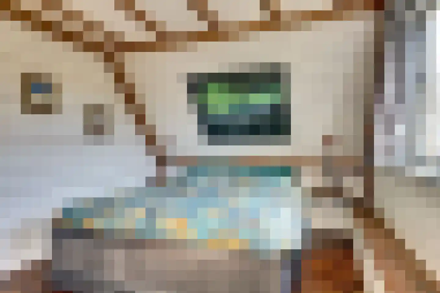 Lijster 24 Zuid-Scharwoude thumbnail 31