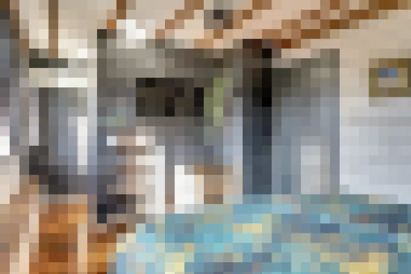 Lijster 24 Zuid-Scharwoude thumbnail 32