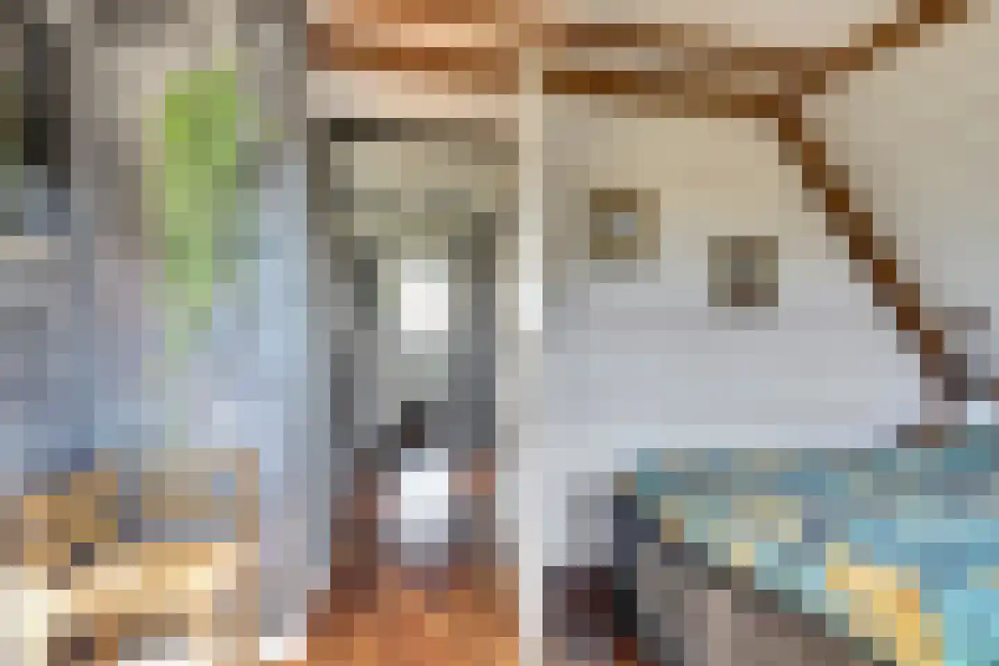 Lijster 24 Zuid-Scharwoude thumbnail 33