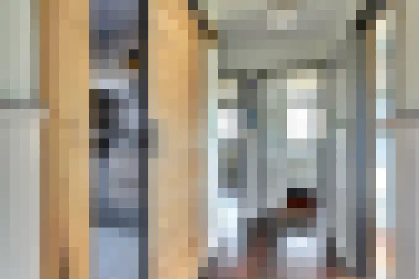 Lijster 24 Zuid-Scharwoude thumbnail 34