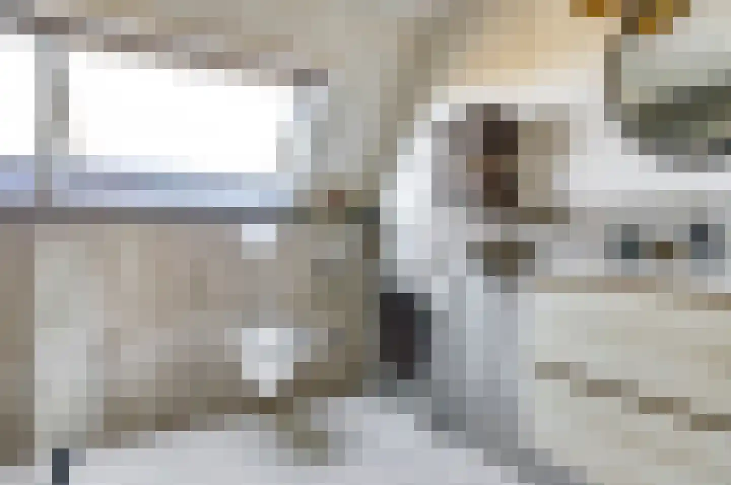 Lijster 24 Zuid-Scharwoude thumbnail 35