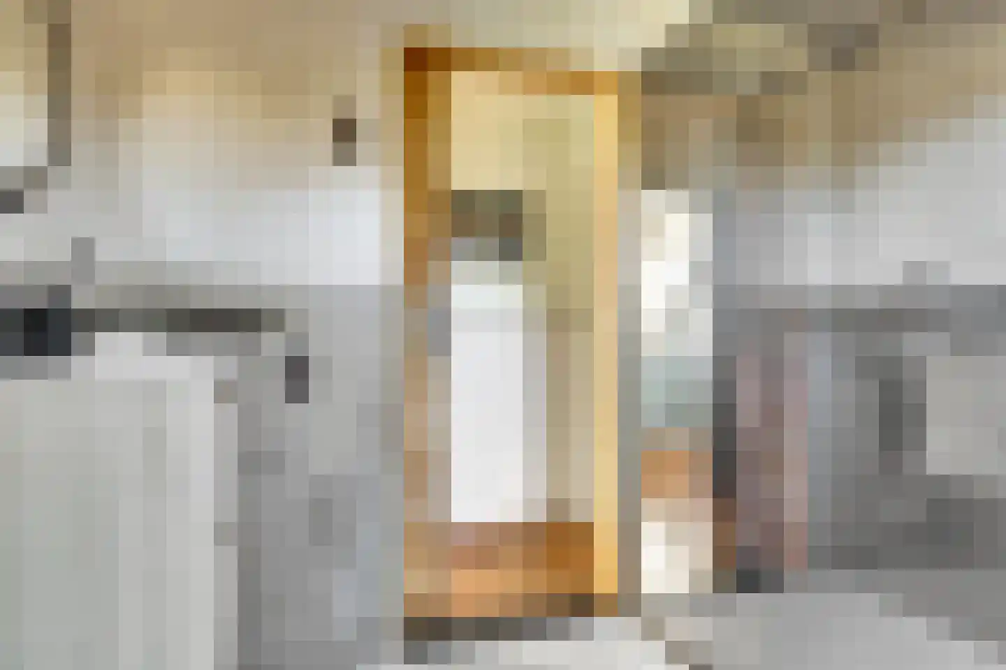 Lijster 24 Zuid-Scharwoude thumbnail 37