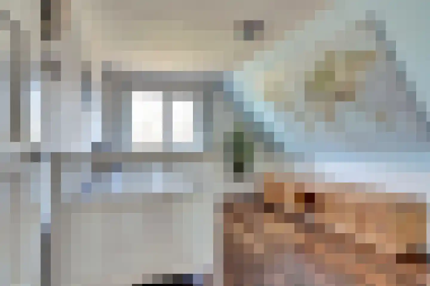 Lijster 24 Zuid-Scharwoude thumbnail 39