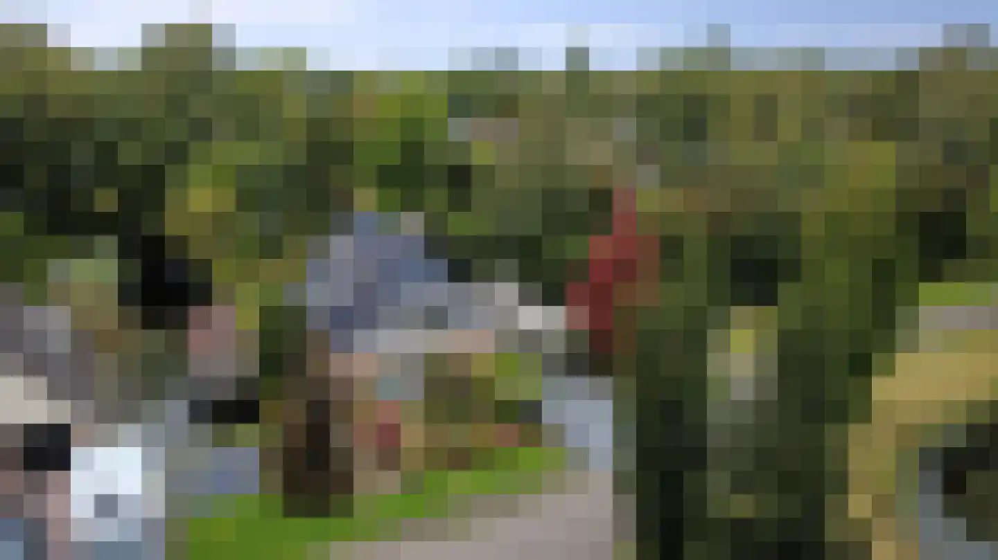 Lijster 24 Zuid-Scharwoude thumbnail 4