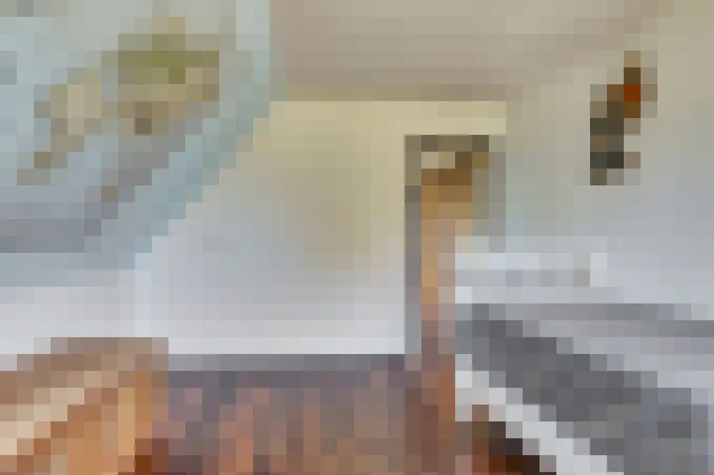 Lijster 24 Zuid-Scharwoude thumbnail 40