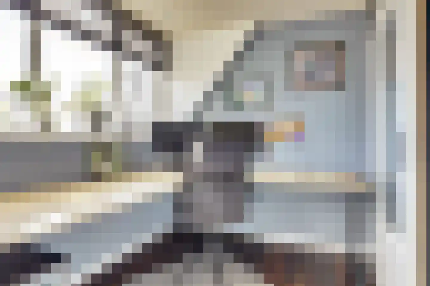 Lijster 24 Zuid-Scharwoude thumbnail 41