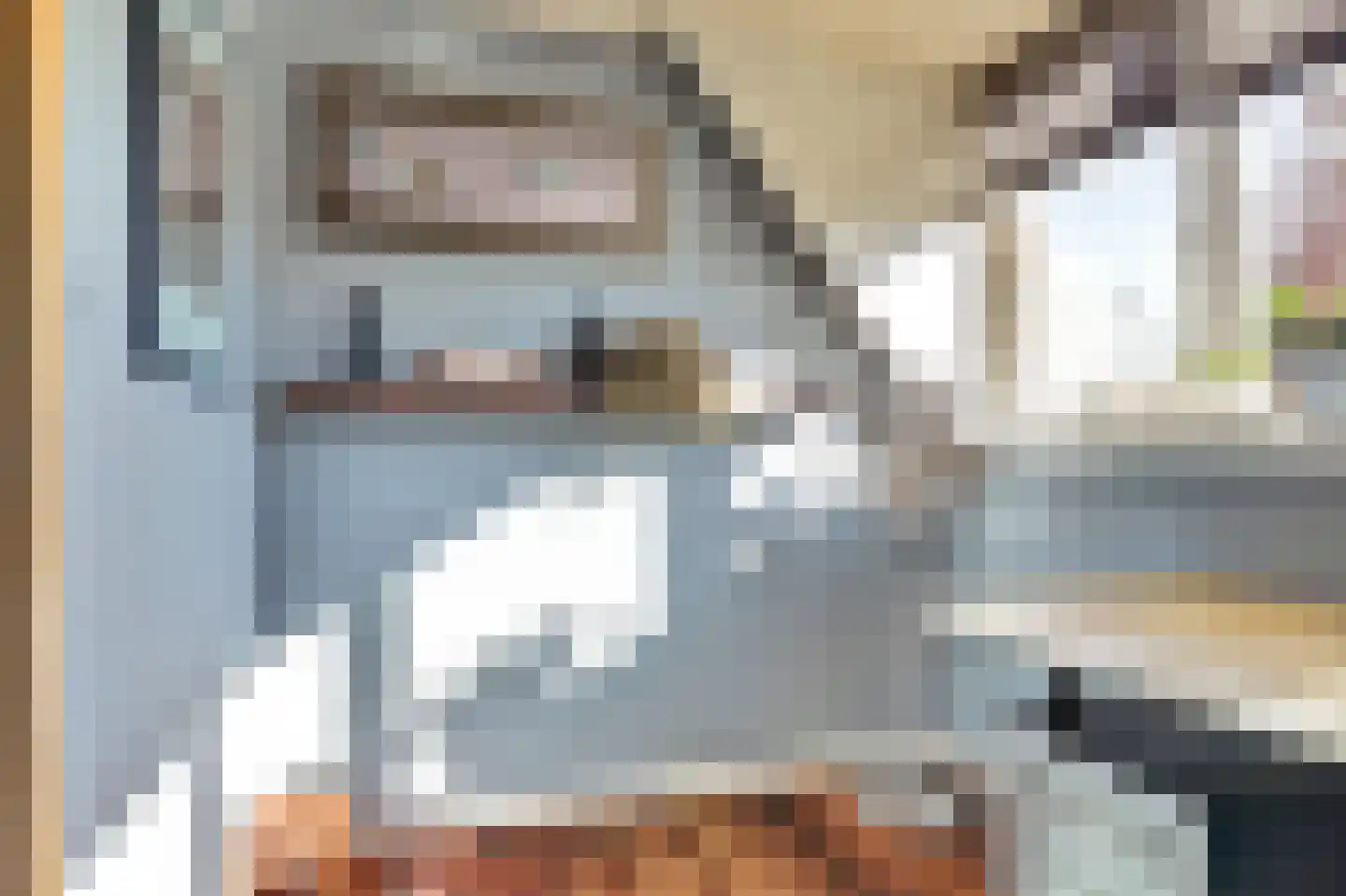 Lijster 24 Zuid-Scharwoude thumbnail 43