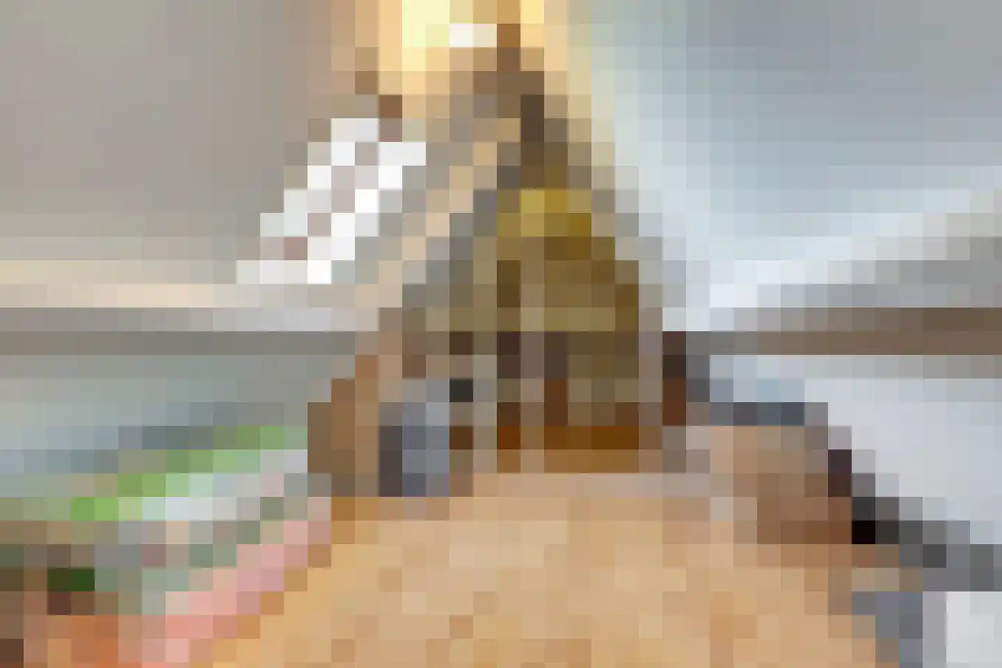 Lijster 24 Zuid-Scharwoude thumbnail 44