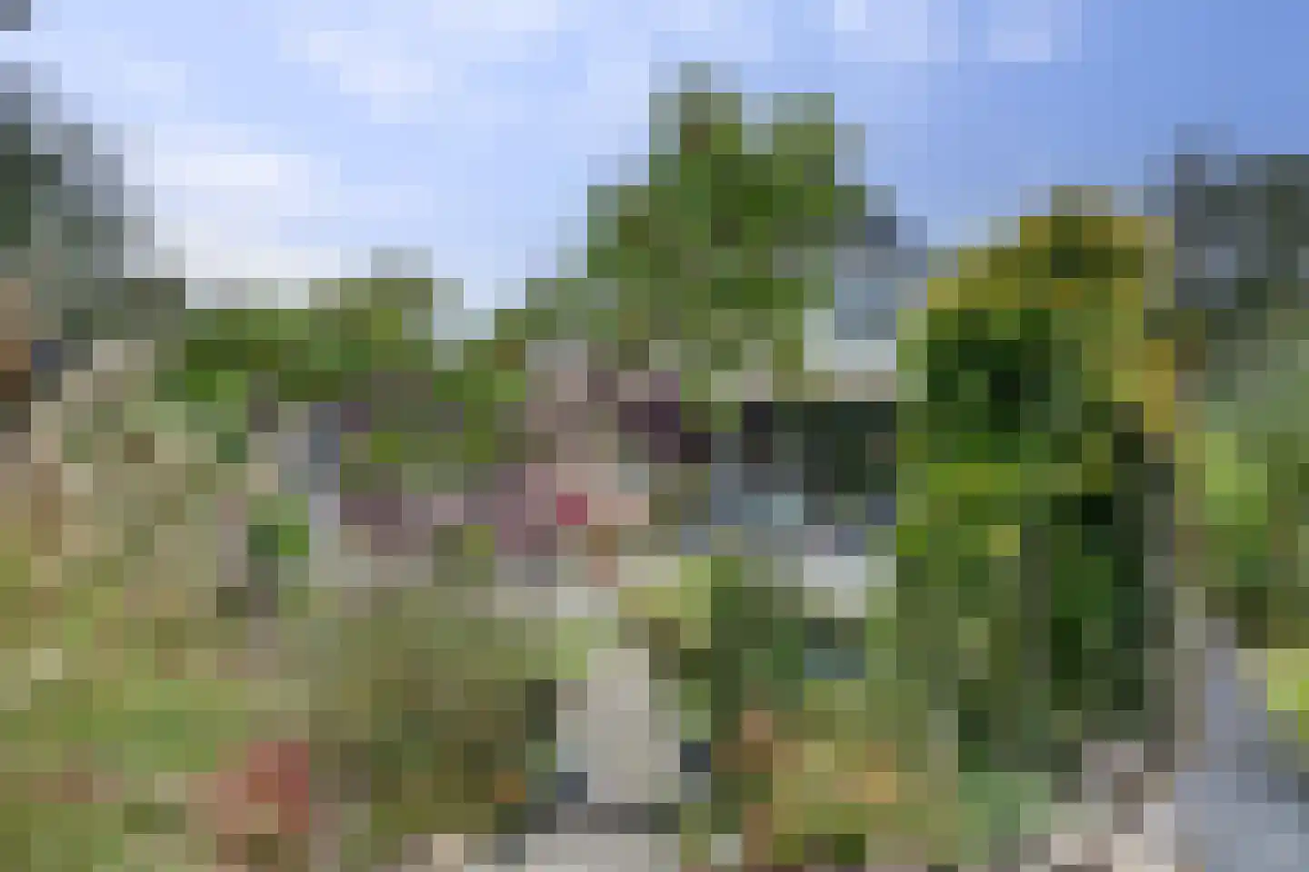 Lijster 24 Zuid-Scharwoude thumbnail 45