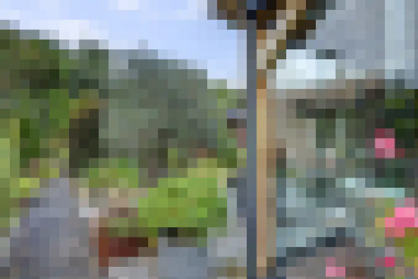 Lijster 24 Zuid-Scharwoude thumbnail 46