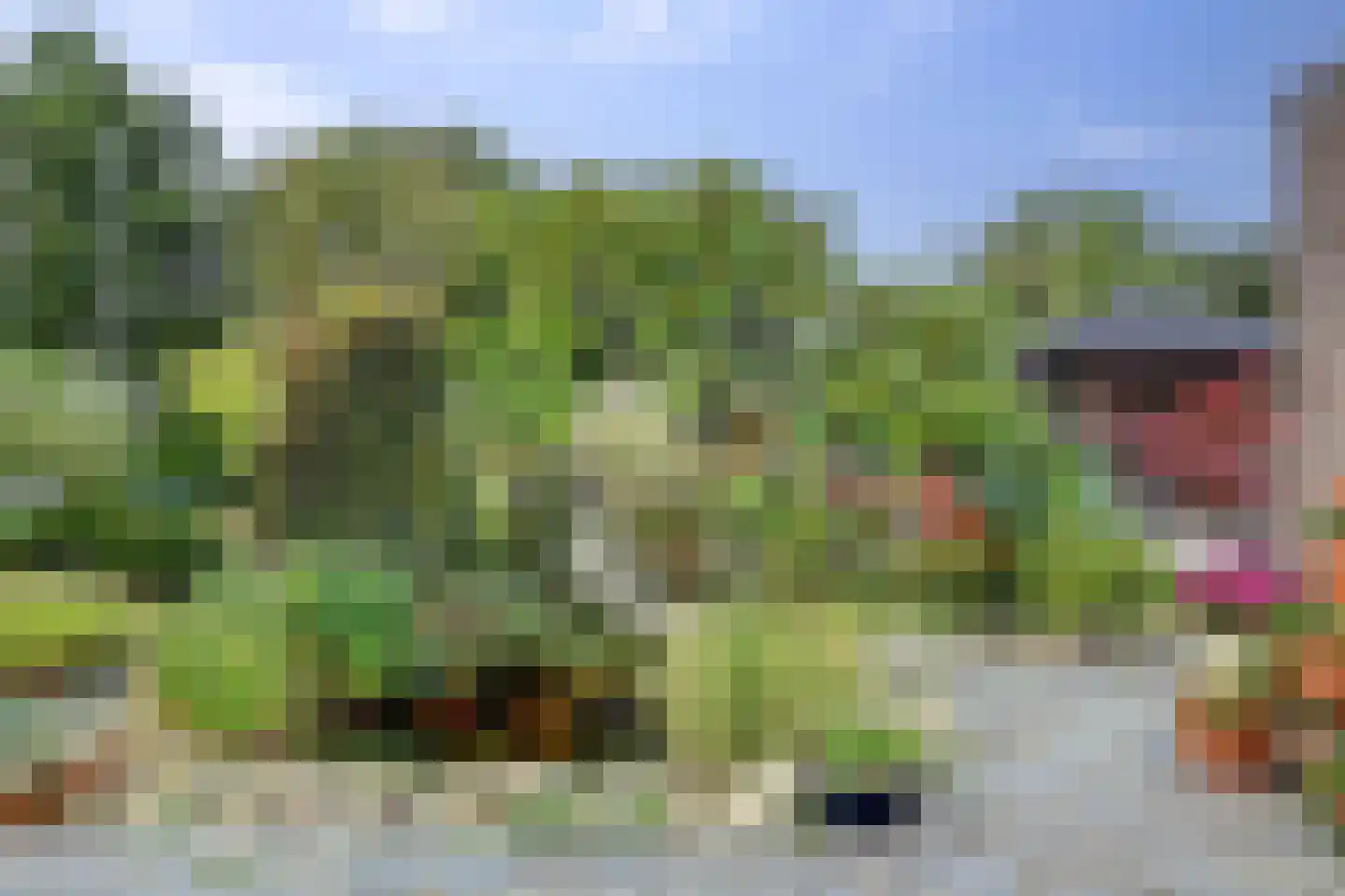 Lijster 24 Zuid-Scharwoude thumbnail 47