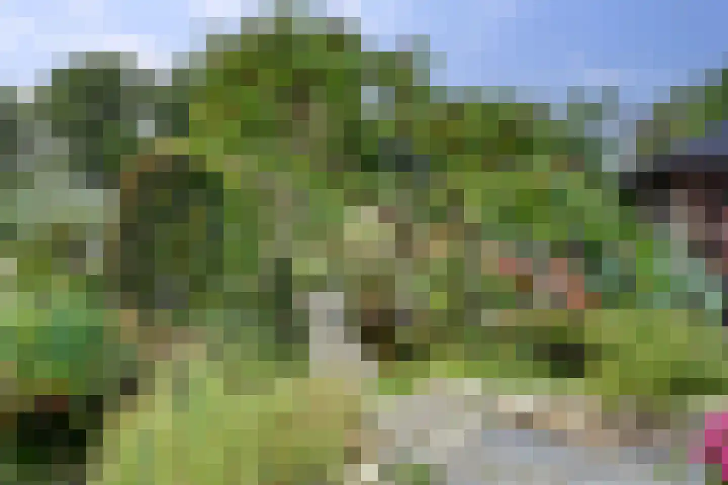 Lijster 24 Zuid-Scharwoude thumbnail 48