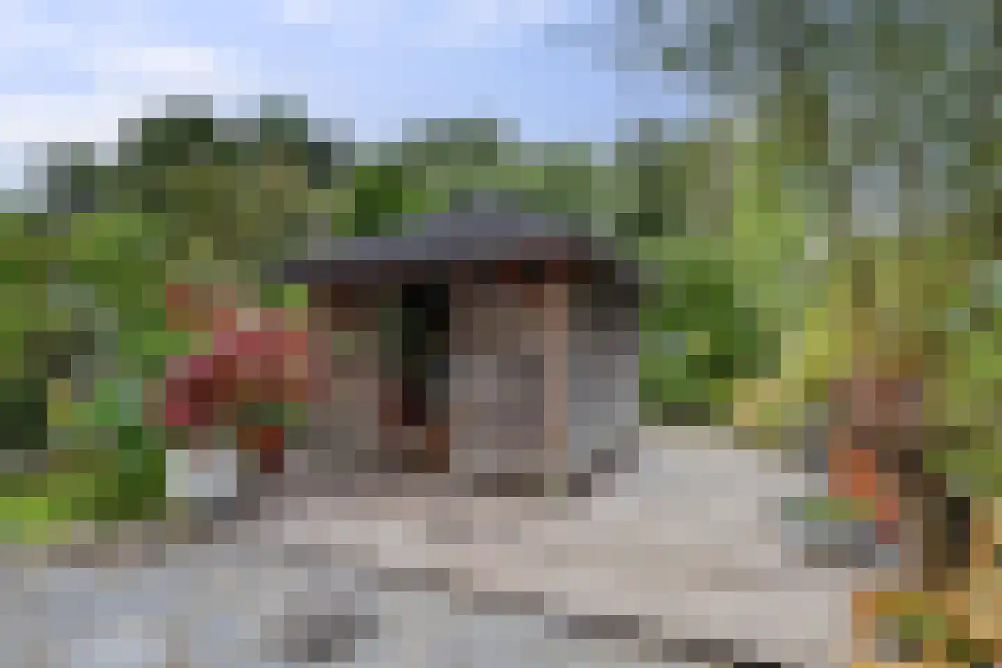 Lijster 24 Zuid-Scharwoude thumbnail 49