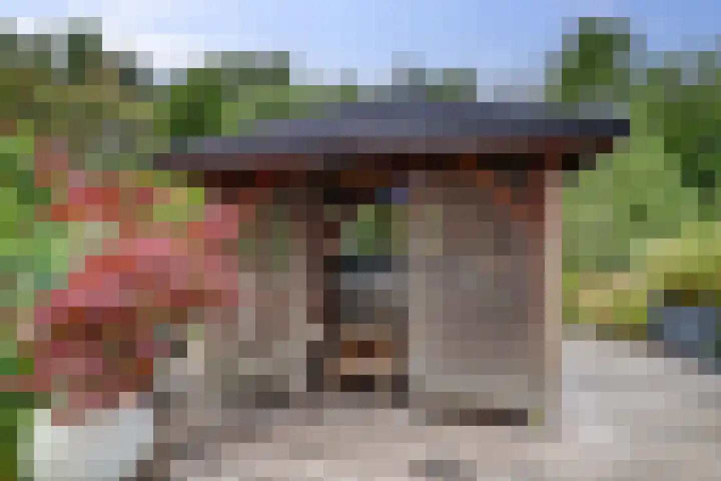 Lijster 24 Zuid-Scharwoude thumbnail 50