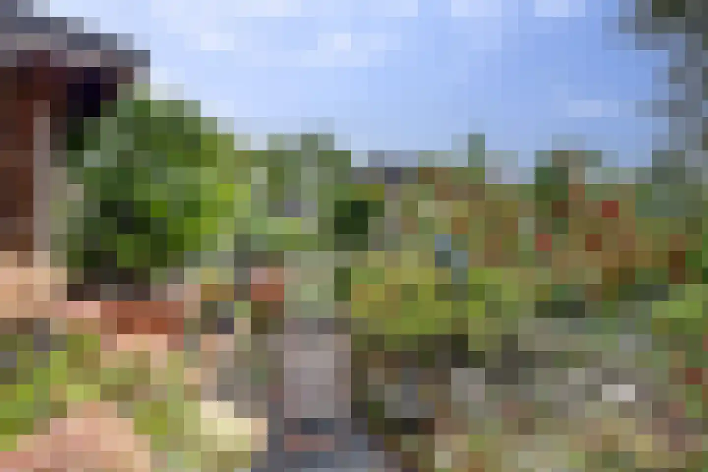 Lijster 24 Zuid-Scharwoude thumbnail 51