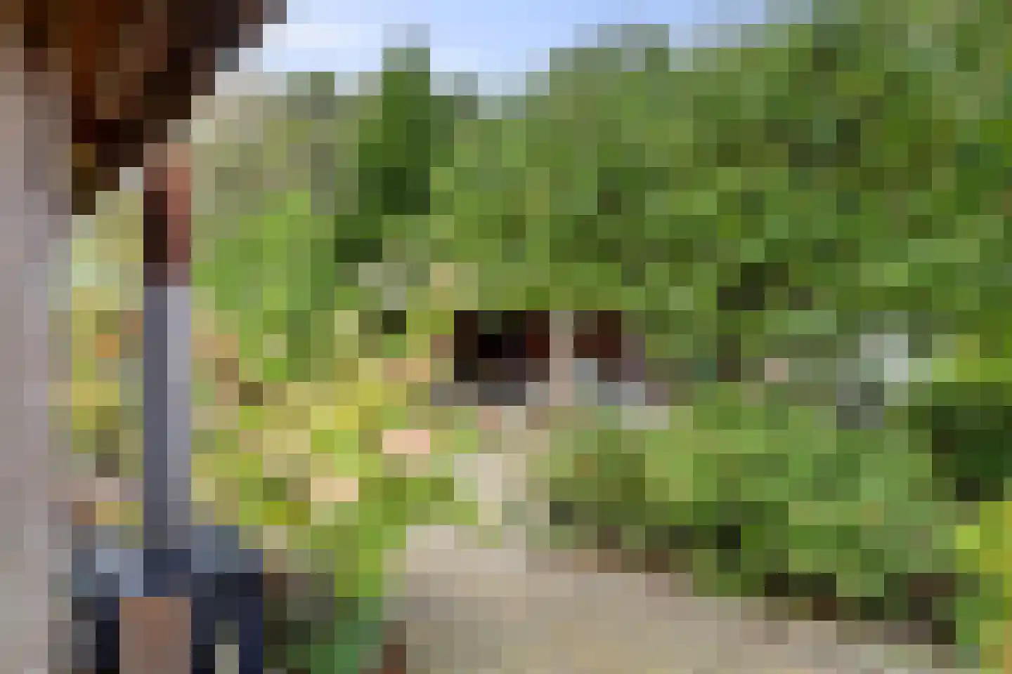 Lijster 24 Zuid-Scharwoude thumbnail 52