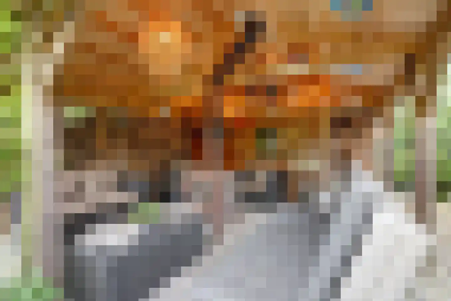 Lijster 24 Zuid-Scharwoude thumbnail 55
