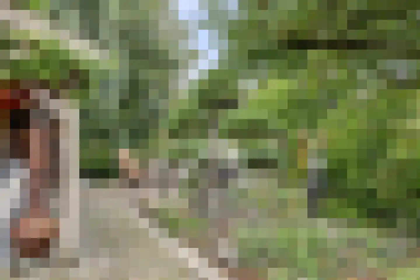 Lijster 24 Zuid-Scharwoude thumbnail 56
