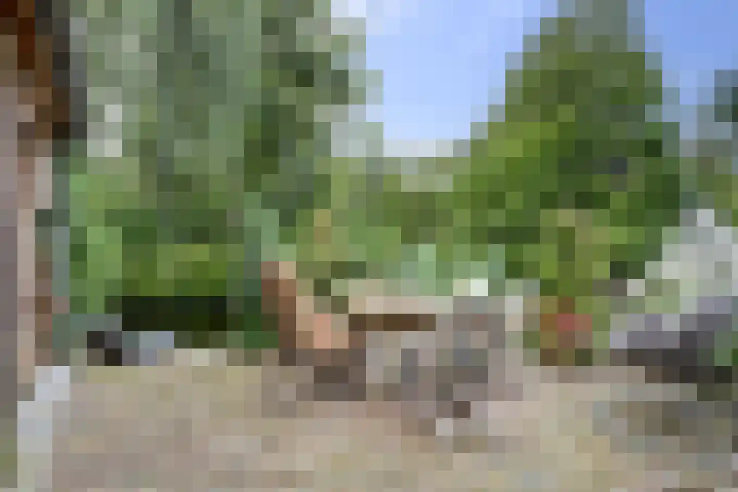 Lijster 24 Zuid-Scharwoude thumbnail 57