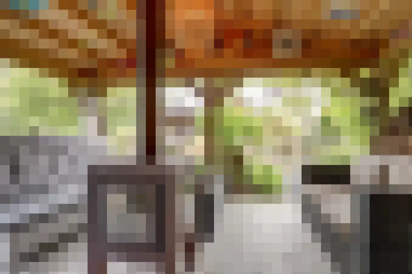Lijster 24 Zuid-Scharwoude thumbnail 59