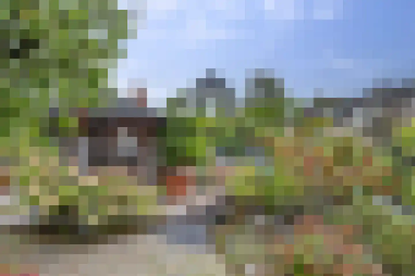 Lijster 24 Zuid-Scharwoude thumbnail 60