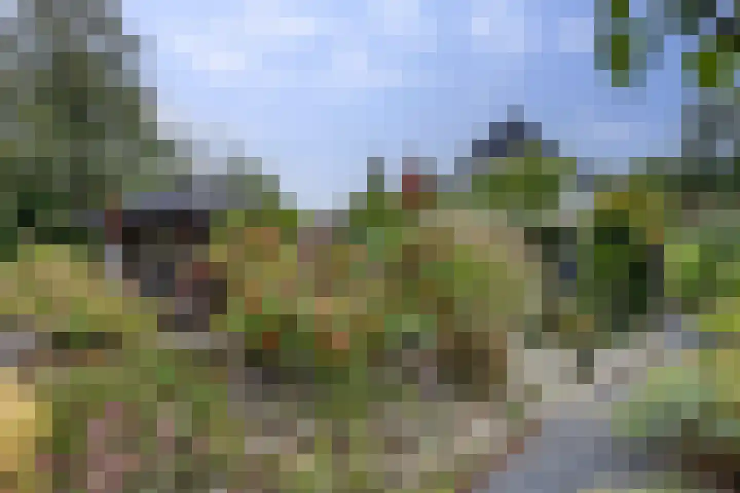 Lijster 24 Zuid-Scharwoude thumbnail 61