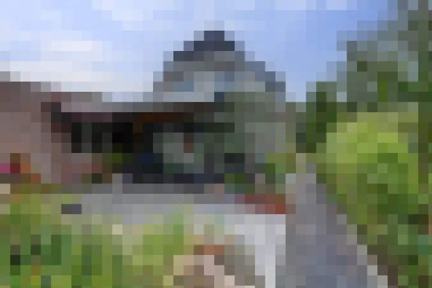 Lijster 24 Zuid-Scharwoude thumbnail 62