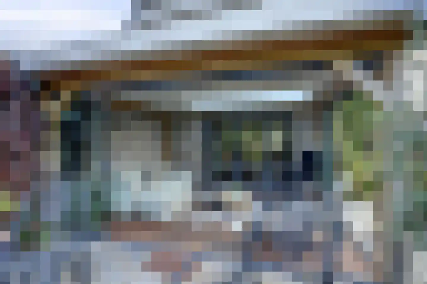 Lijster 24 Zuid-Scharwoude thumbnail 63