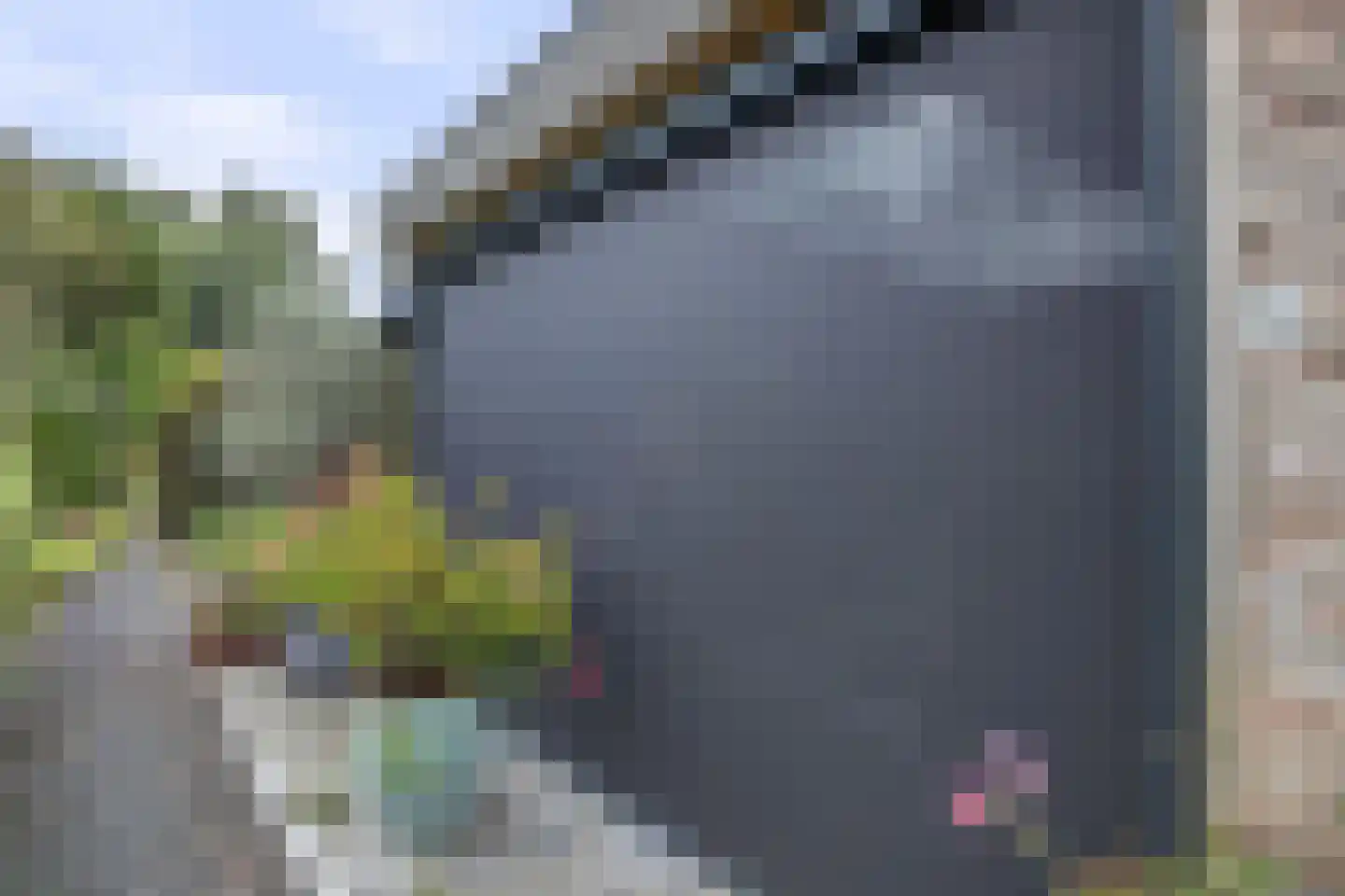 Lijster 24 Zuid-Scharwoude thumbnail 65