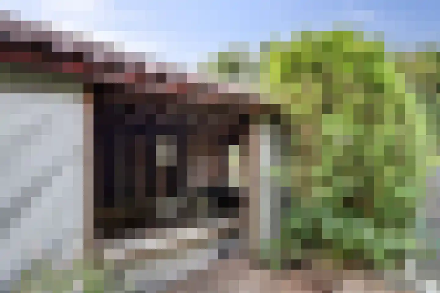 Lijster 24 Zuid-Scharwoude thumbnail 67