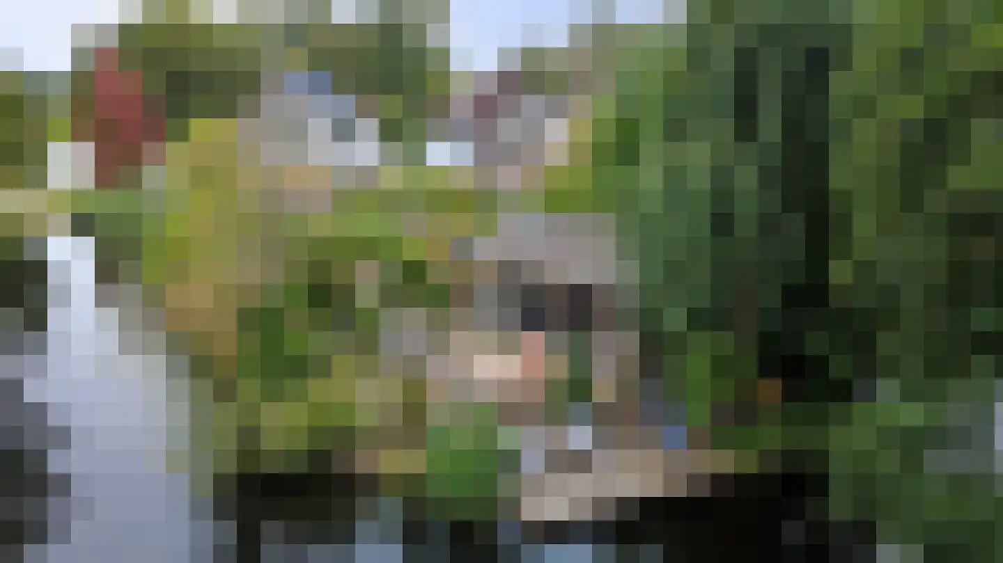 Lijster 24 Zuid-Scharwoude thumbnail 69