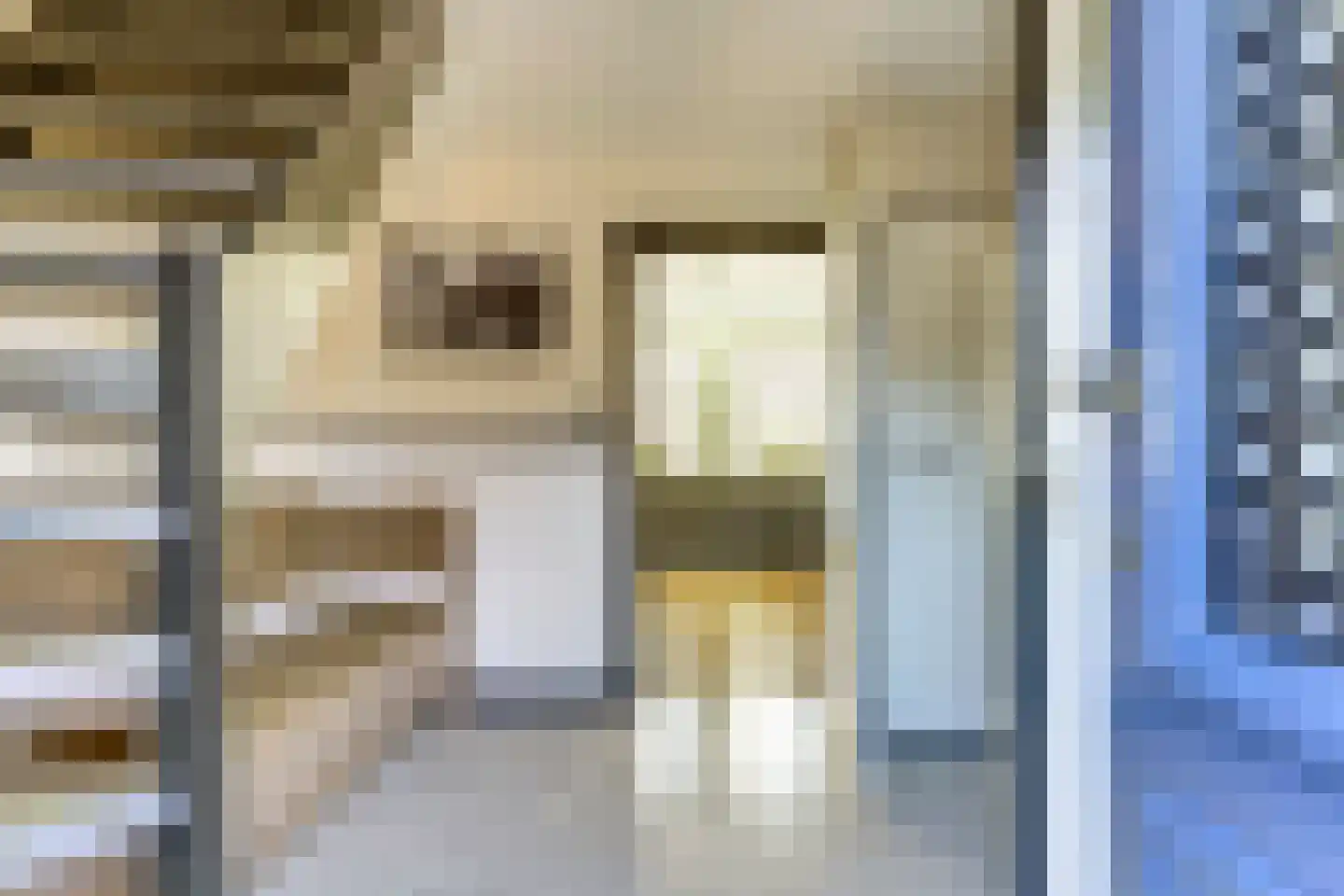 Lijster 24 Zuid-Scharwoude thumbnail 8