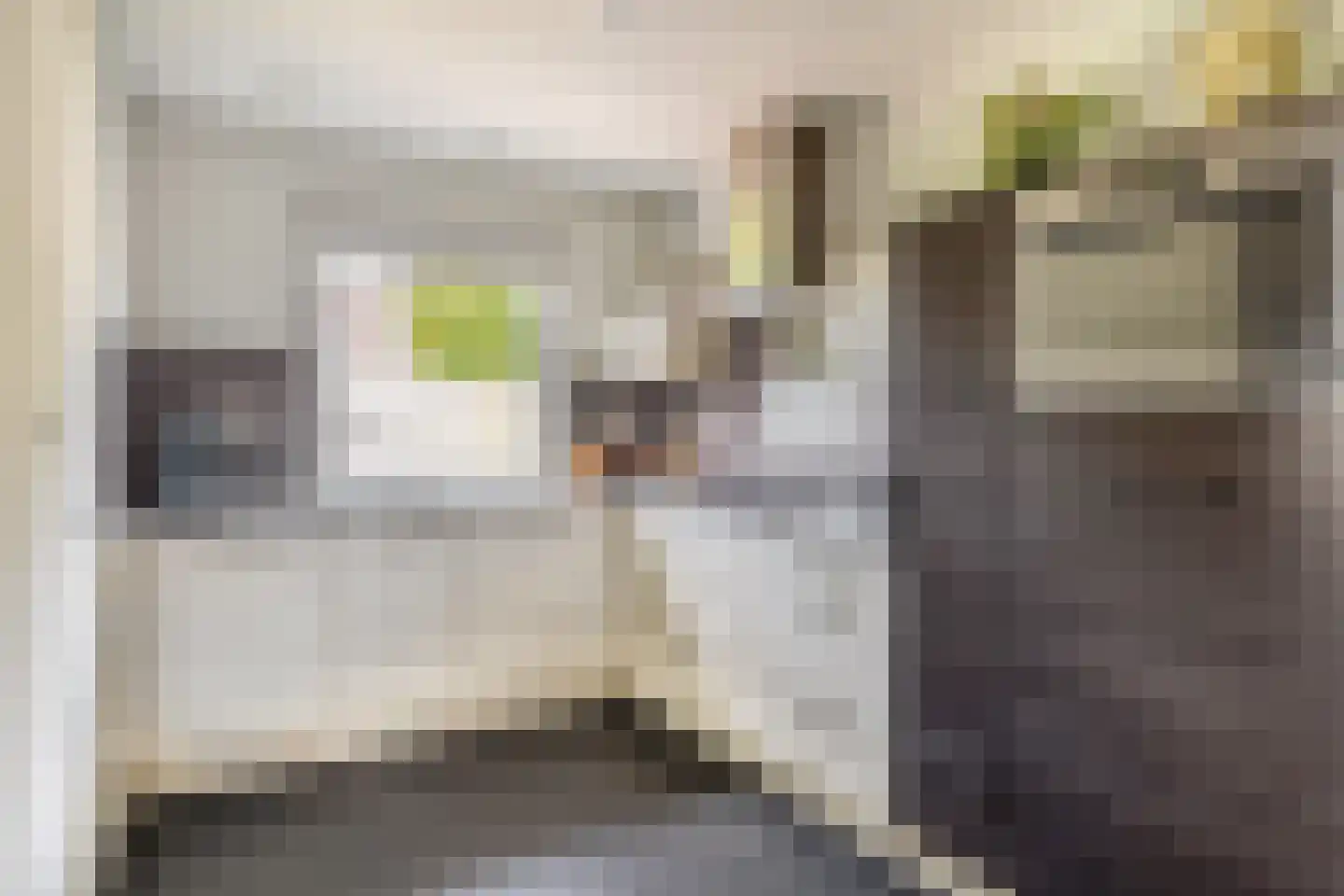Lijster 27 Sommelsdijk thumbnail 10