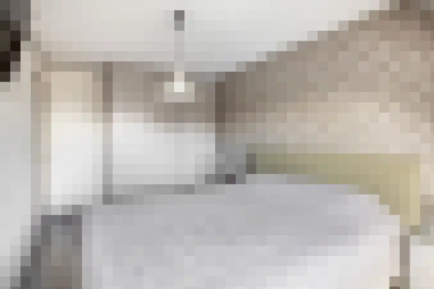 Lijster 27 Sommelsdijk thumbnail 11