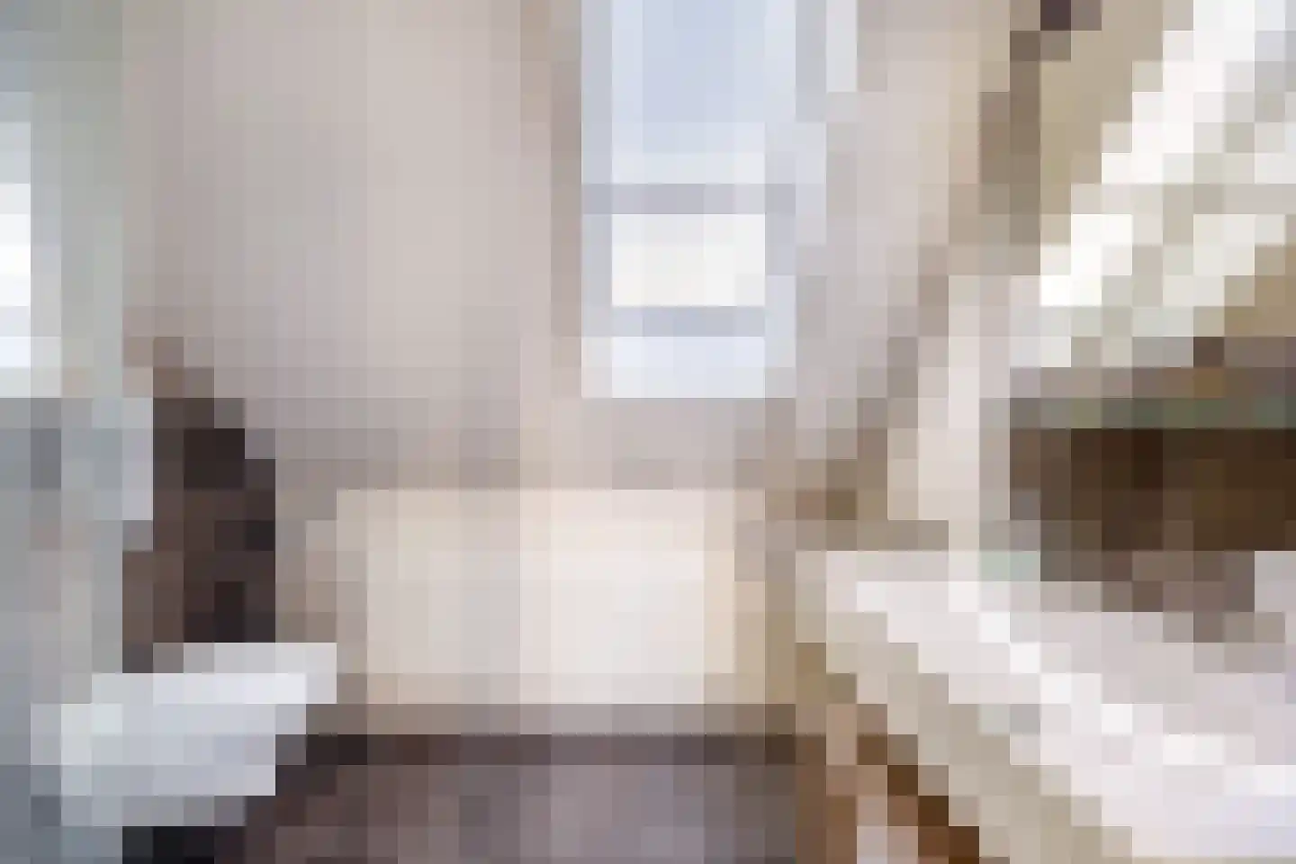 Lijster 27 Sommelsdijk thumbnail 12