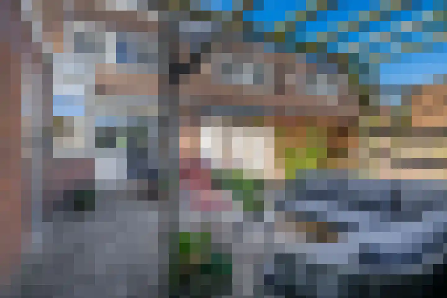 Lijster 27 Sommelsdijk thumbnail 13