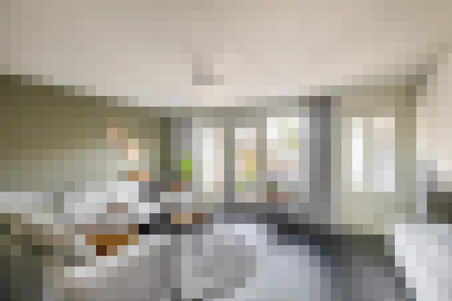 Lijster 27 Sommelsdijk thumbnail 15