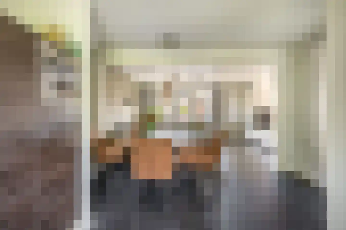 Lijster 27 Sommelsdijk thumbnail 16