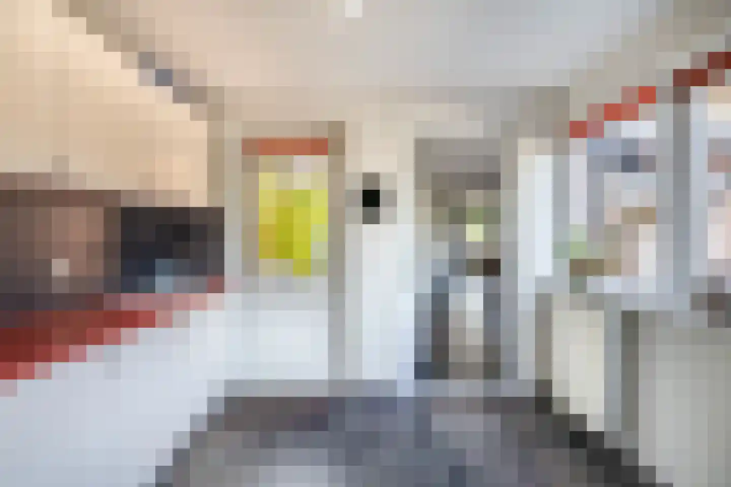 Lijster 27 Sommelsdijk thumbnail 18