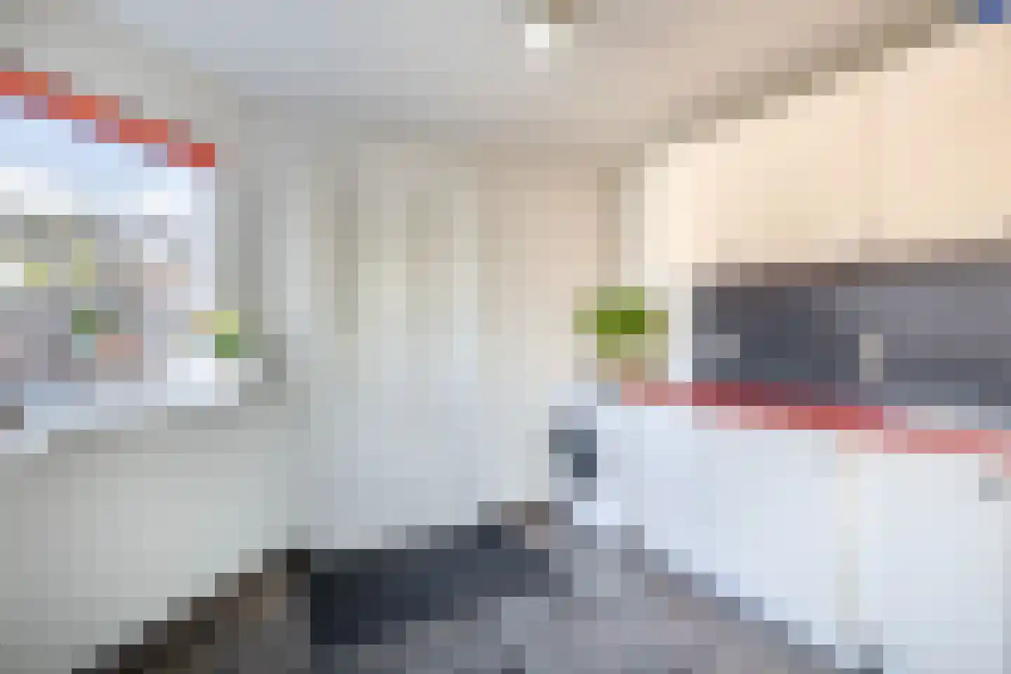 Lijster 27 Sommelsdijk thumbnail 19