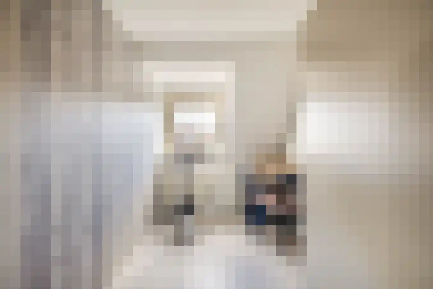 Lijster 27 Sommelsdijk thumbnail 22