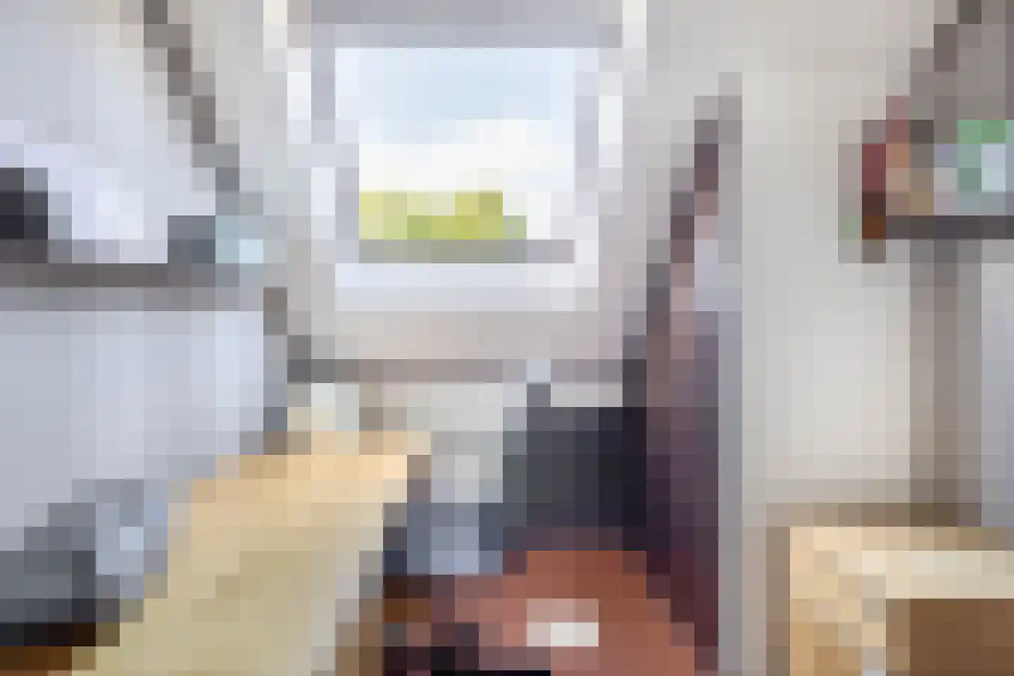 Lijster 27 Sommelsdijk thumbnail 24