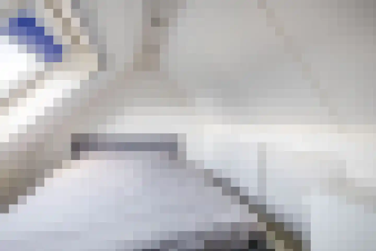 Lijster 27 Sommelsdijk thumbnail 26