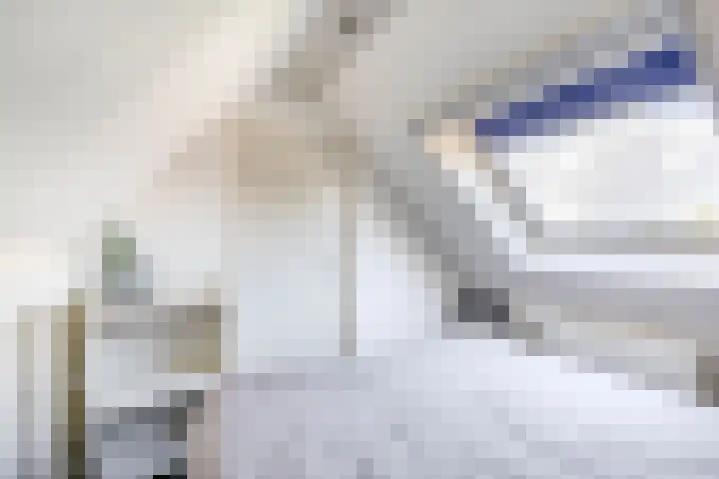 Lijster 27 Sommelsdijk thumbnail 27
