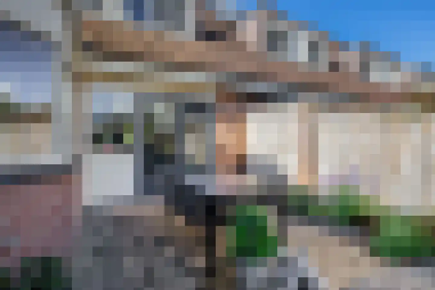 Lijster 27 Sommelsdijk thumbnail 28