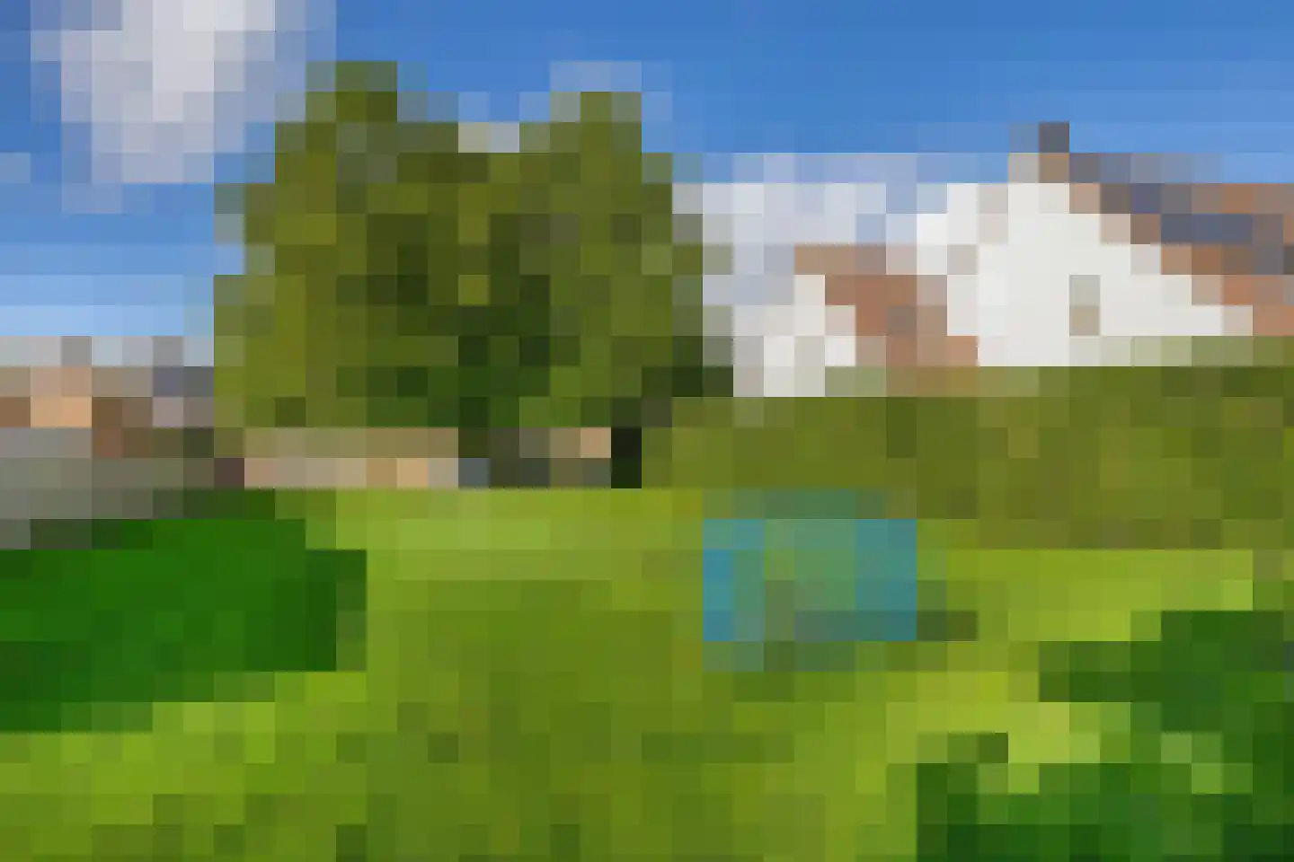 Lijster 27 Sommelsdijk thumbnail 33