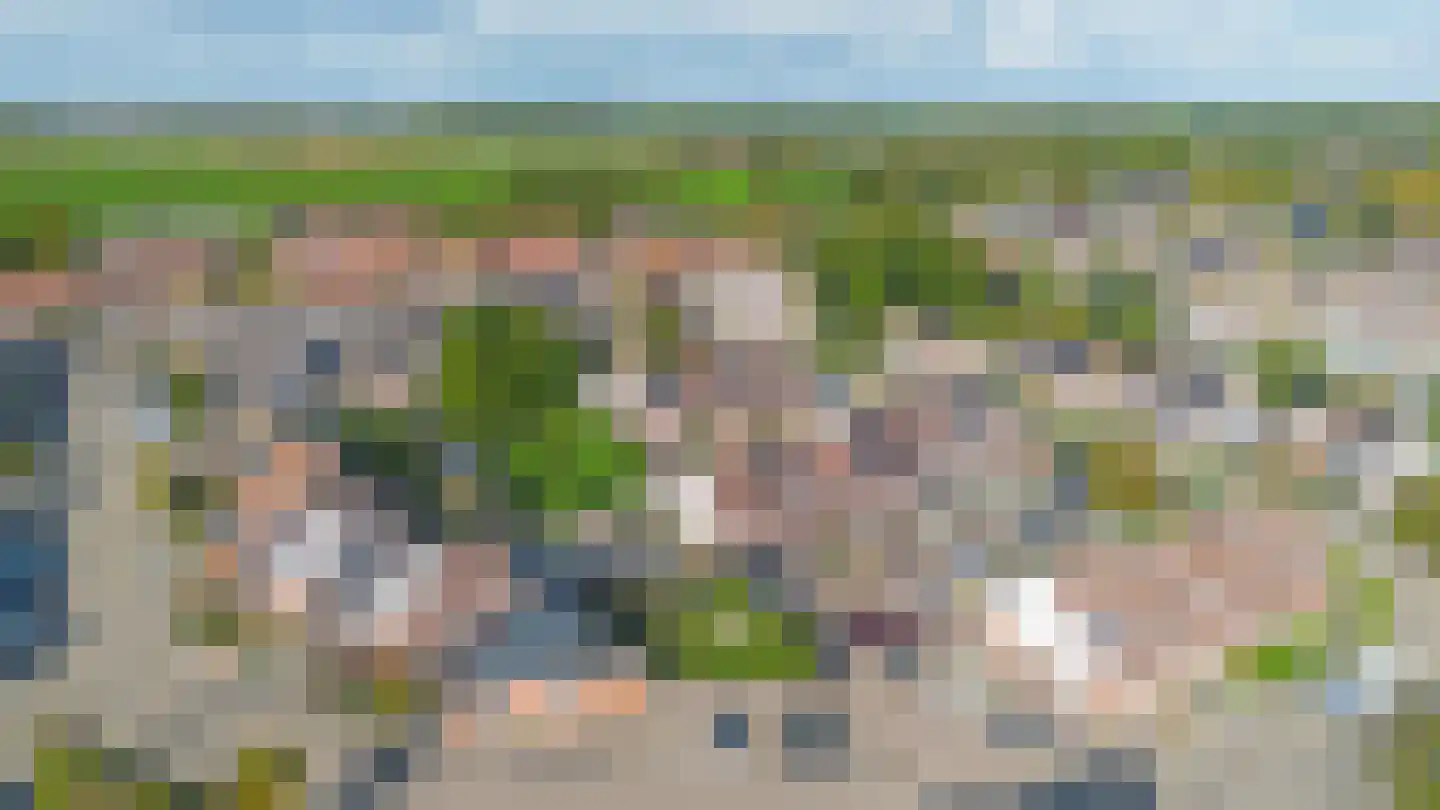 Lijster 27 Sommelsdijk thumbnail 34