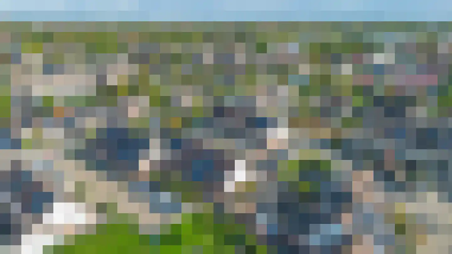 Lijster 27 Sommelsdijk thumbnail 35