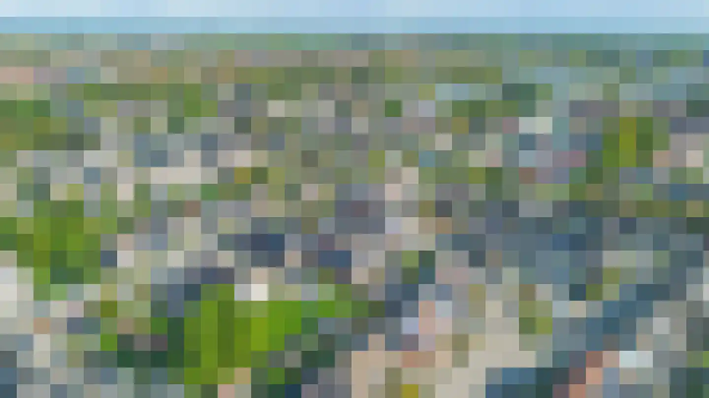 Lijster 27 Sommelsdijk thumbnail 36