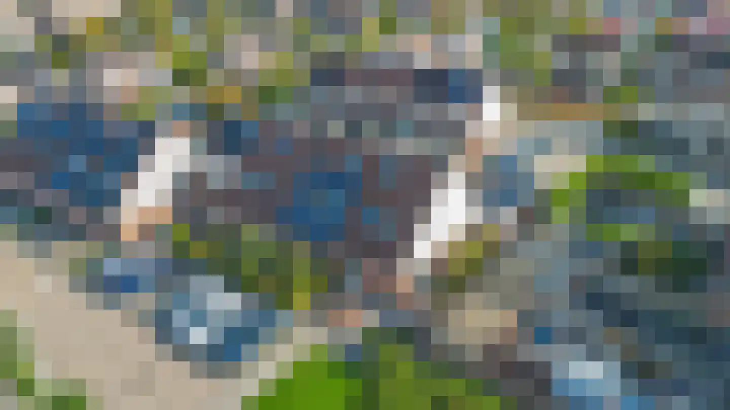 Lijster 27 Sommelsdijk thumbnail 37